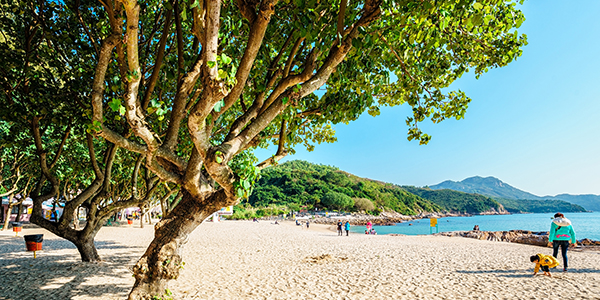 Aberdeen to Lamma Island